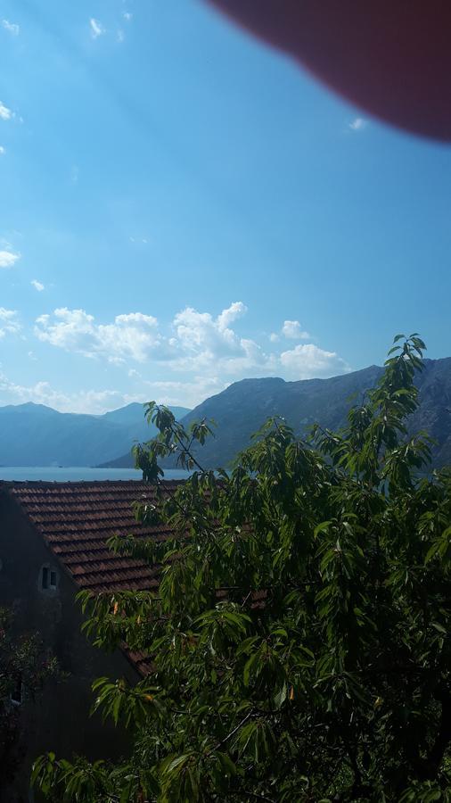 Apartments Katarina Kotor Bagian luar foto